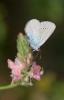 283239 – Photo : Louis Ton – France (30)